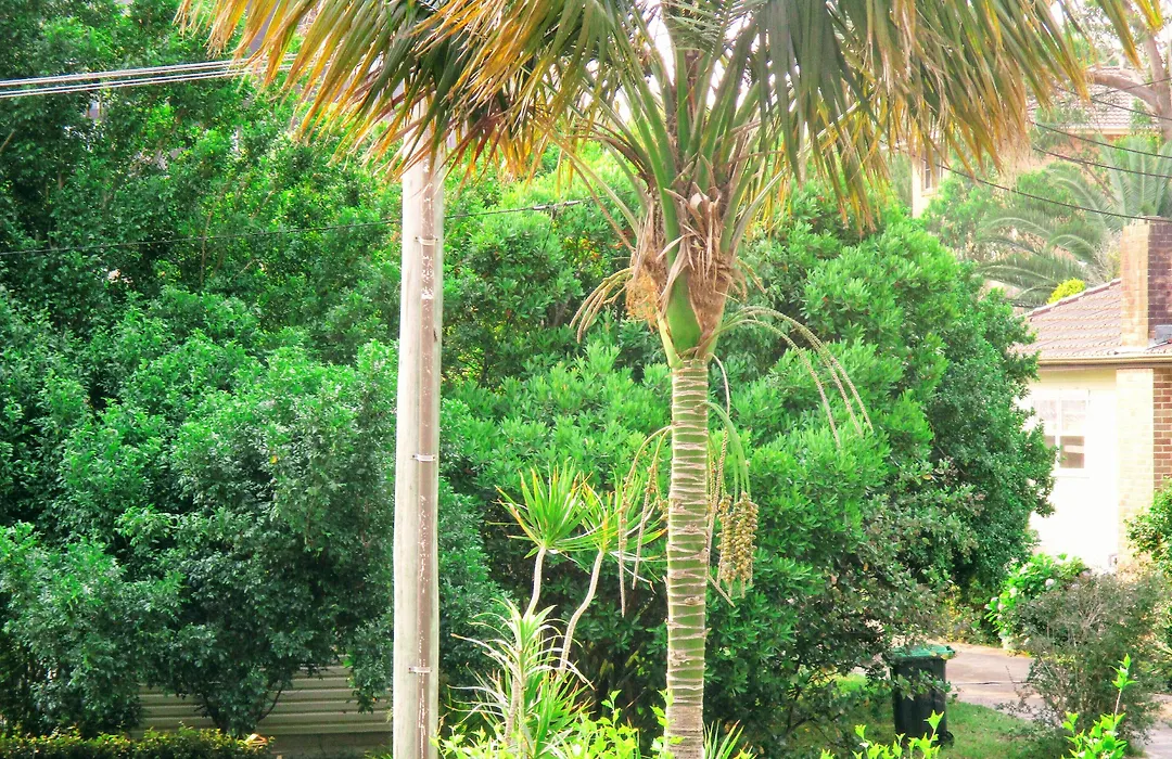 Gosford Palms Motor Inn-1