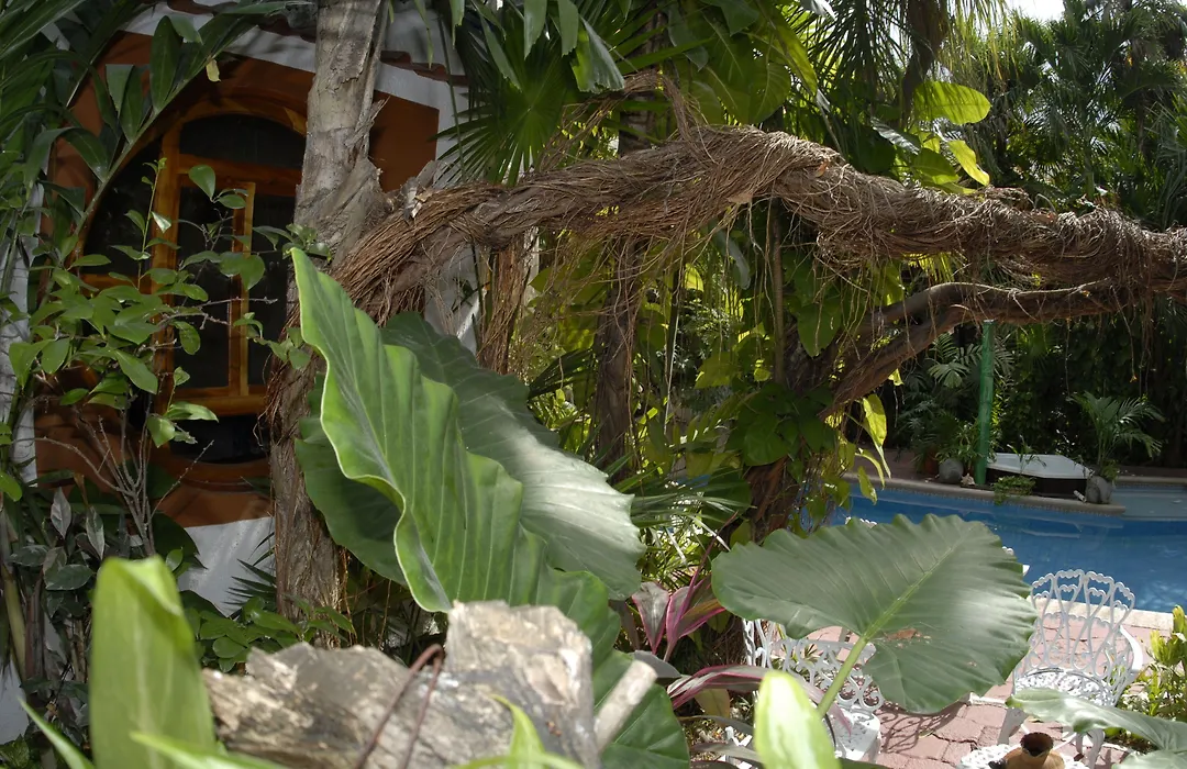 Eco-Hotel El Rey Del Caribe-1