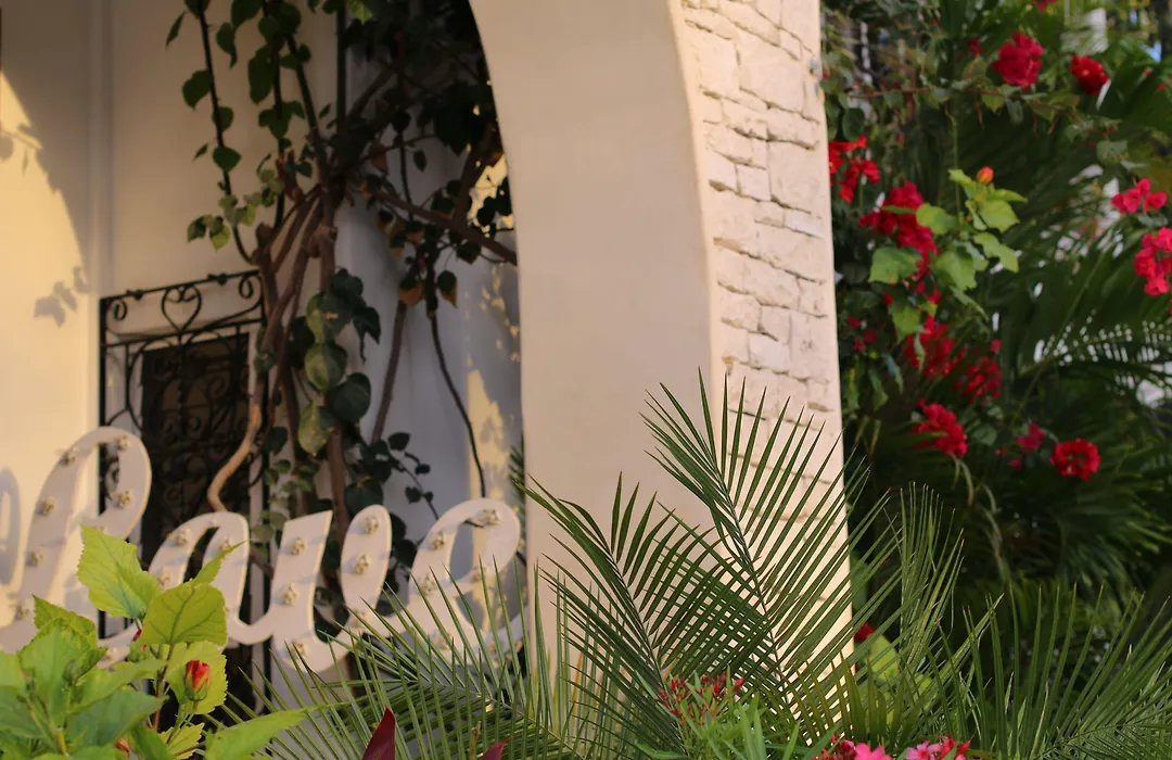 Livetulum-1