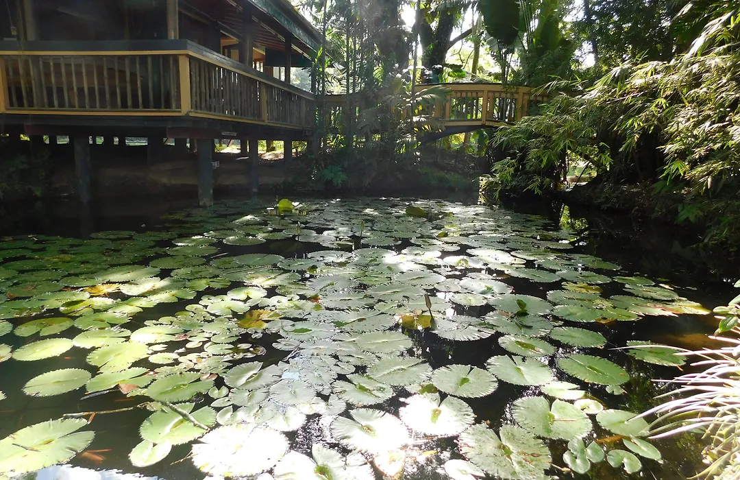 Rainforest Eco Lodge-1