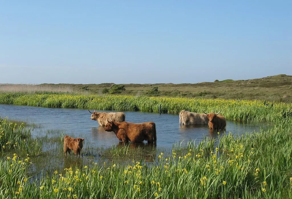 B&B De Sering Texel-1