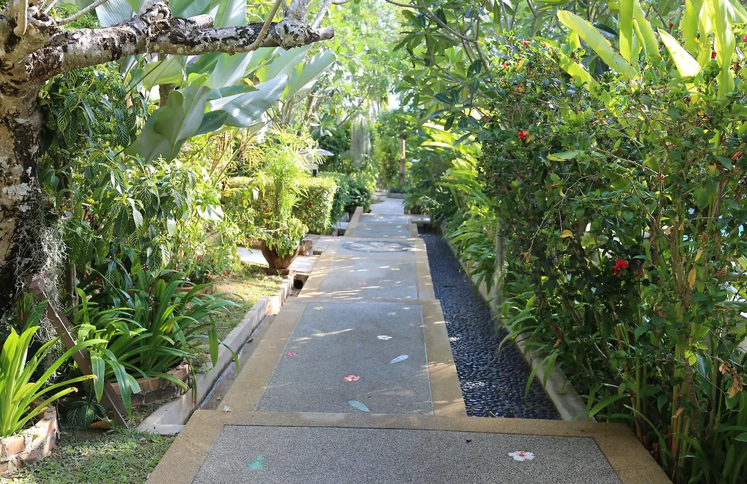 Cocoville Phuket - Sha Plus-1