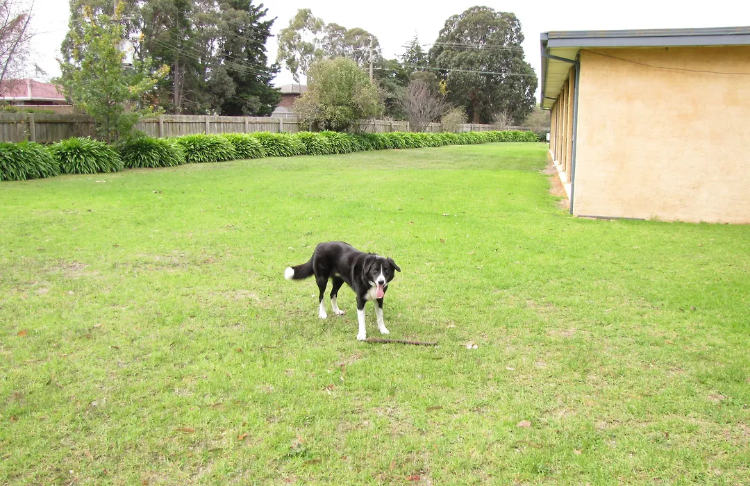 Motel Traralgon-1
