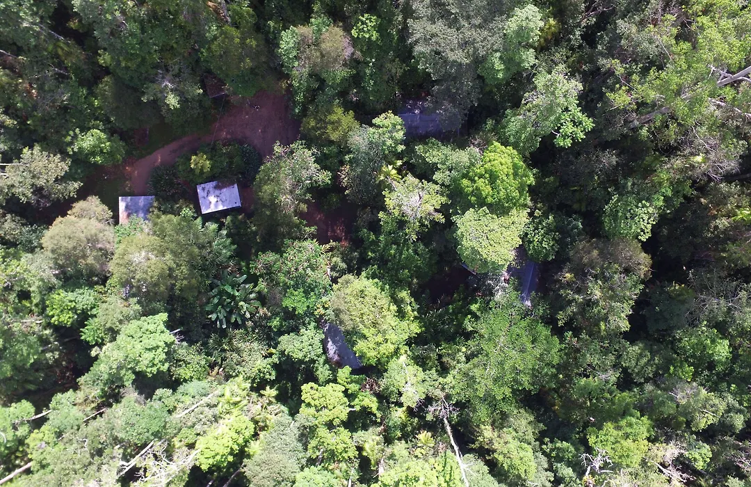 Crater Lakes Rainforest Cottages-1