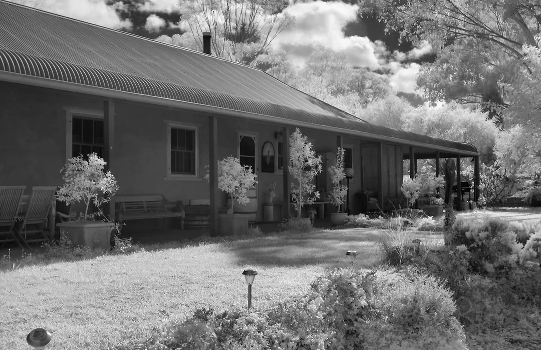Wildwood Guesthouse-1
