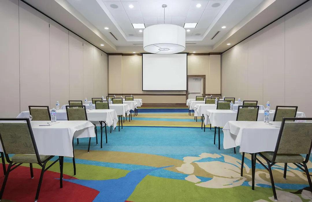 Hilton Garden Inn San Antonio/Rim Pass Drive-1
