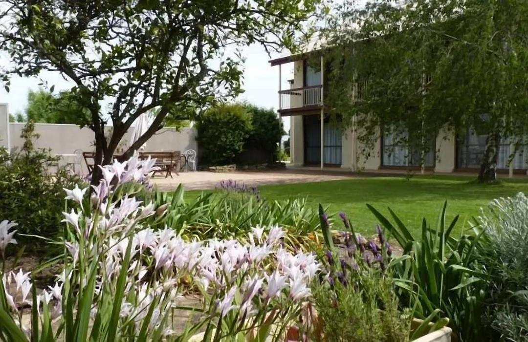 Coonawarra Motor Lodge-1