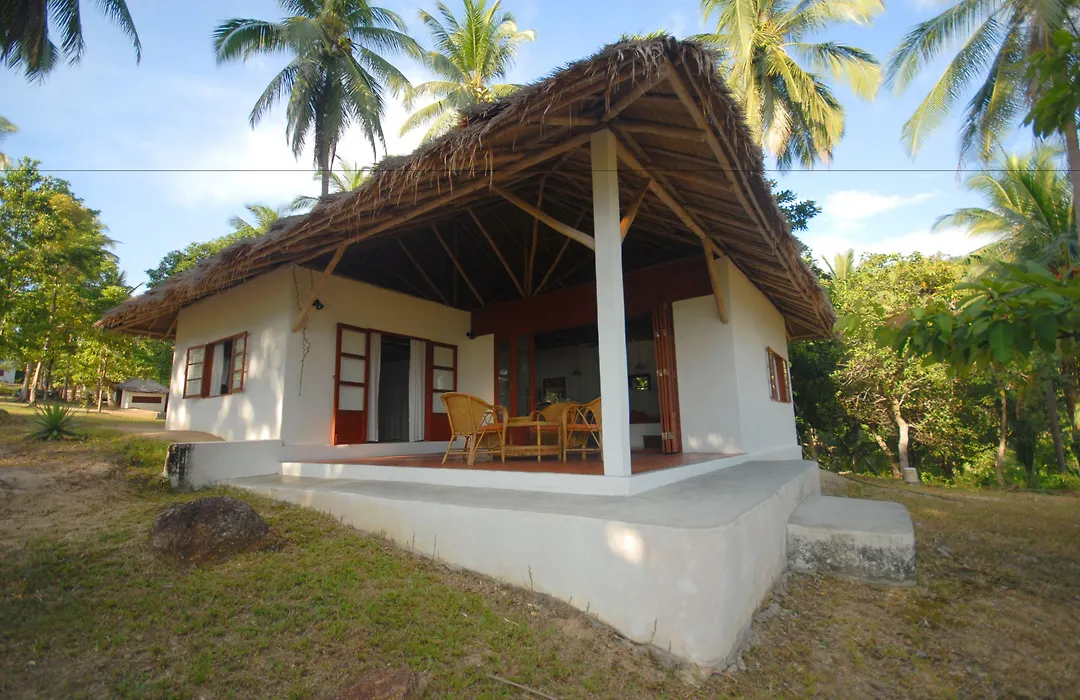 The Jungle Club-1