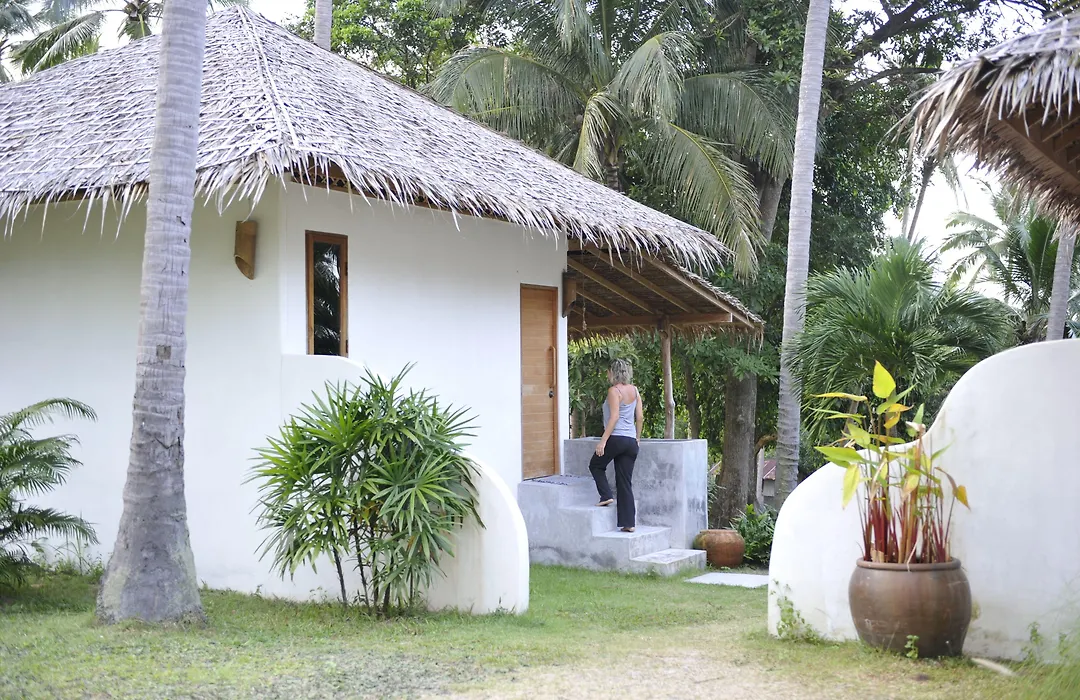 The Jungle Club-1