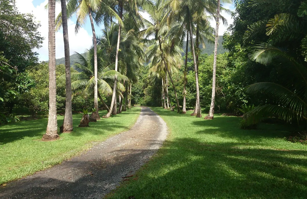Cape Trib Farm-1