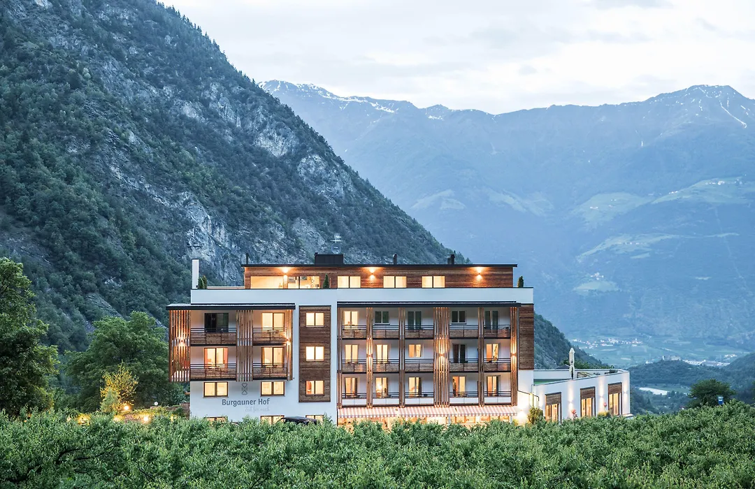 Hotel Burgaunerhof-1