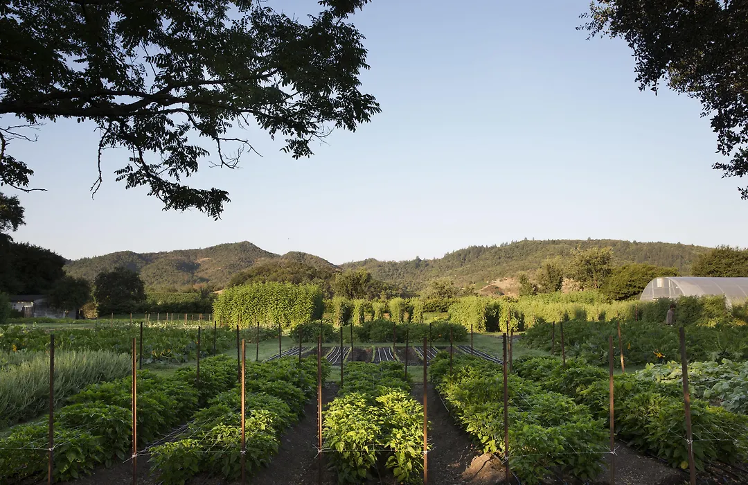 Napa Valley Lodge-1