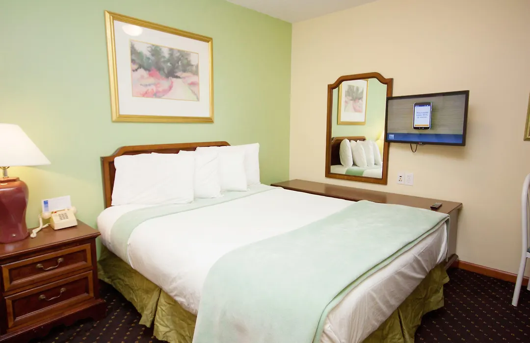 Calypso Boutique Hotel-1