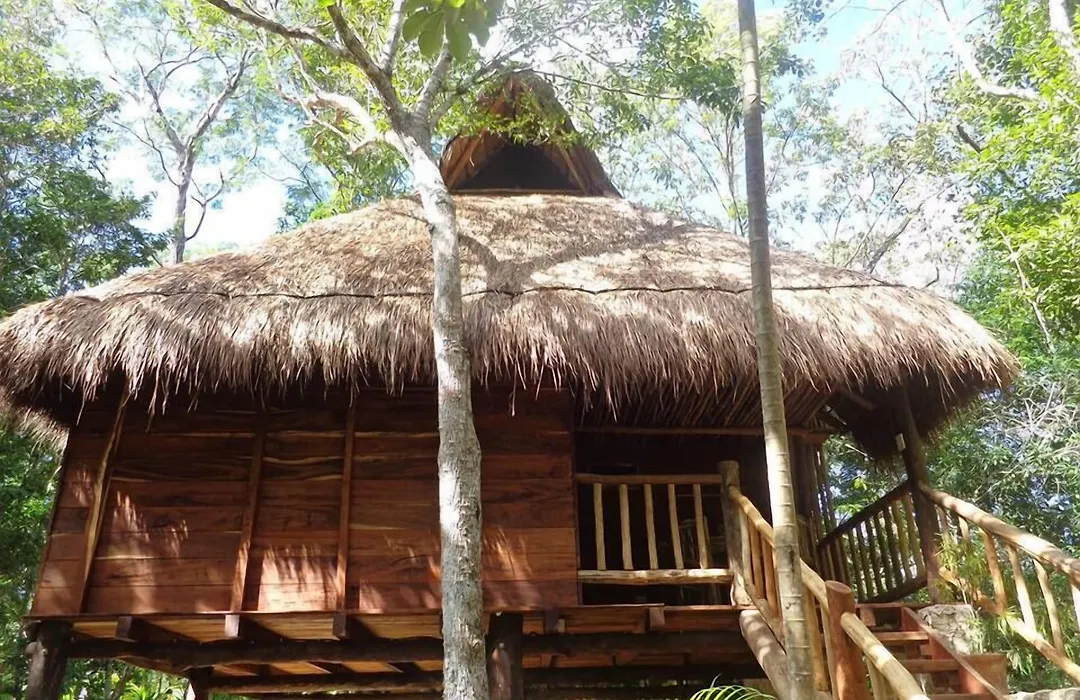 Casa Mango-1