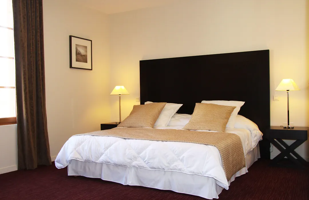 Hotel Burgevin-1
