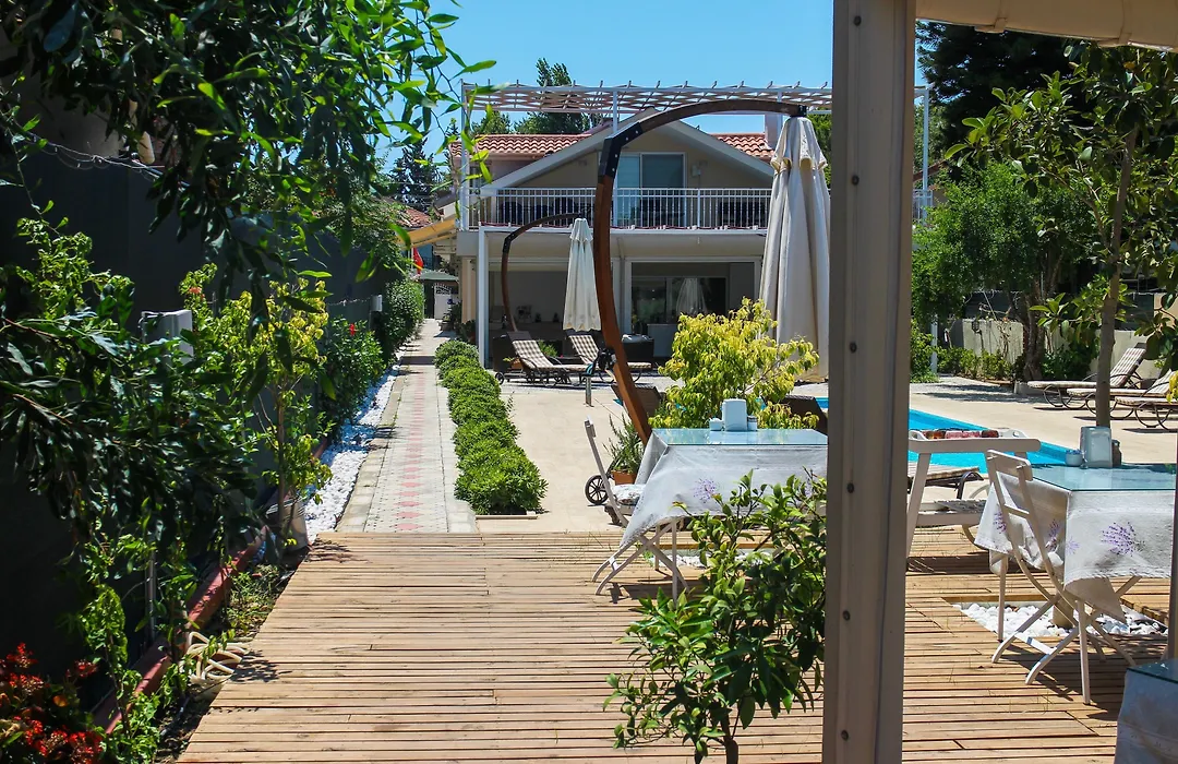 Arp Dalyan-1