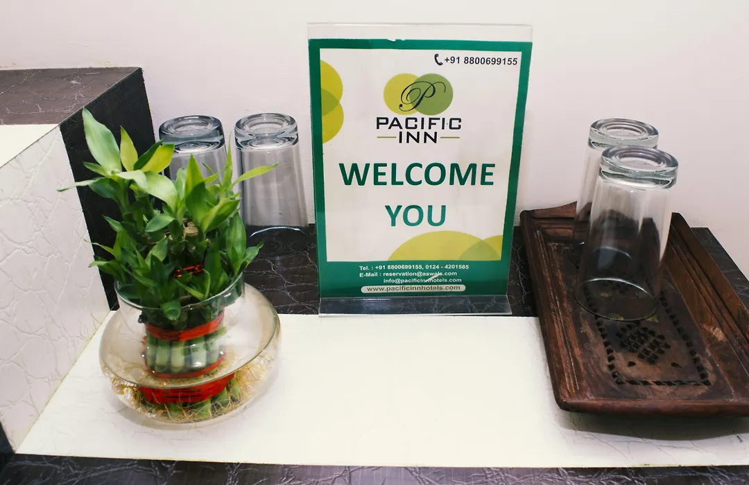 Pacific Inn Huda City Centre Sec 41-1
