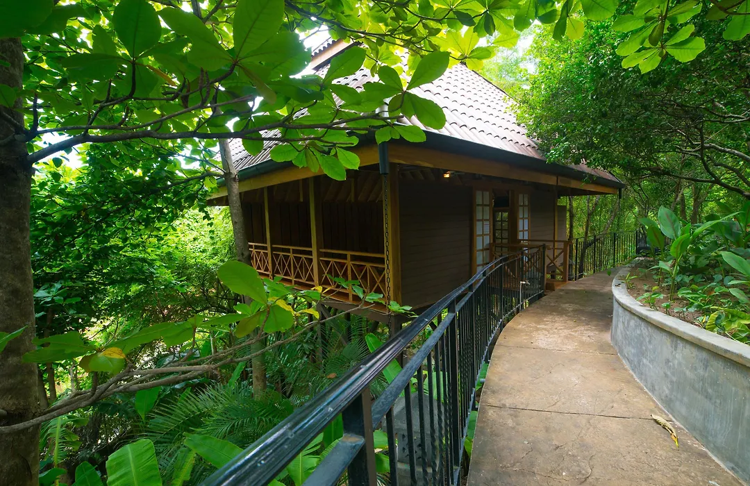 Bodhi Tree Yoga Resort-1