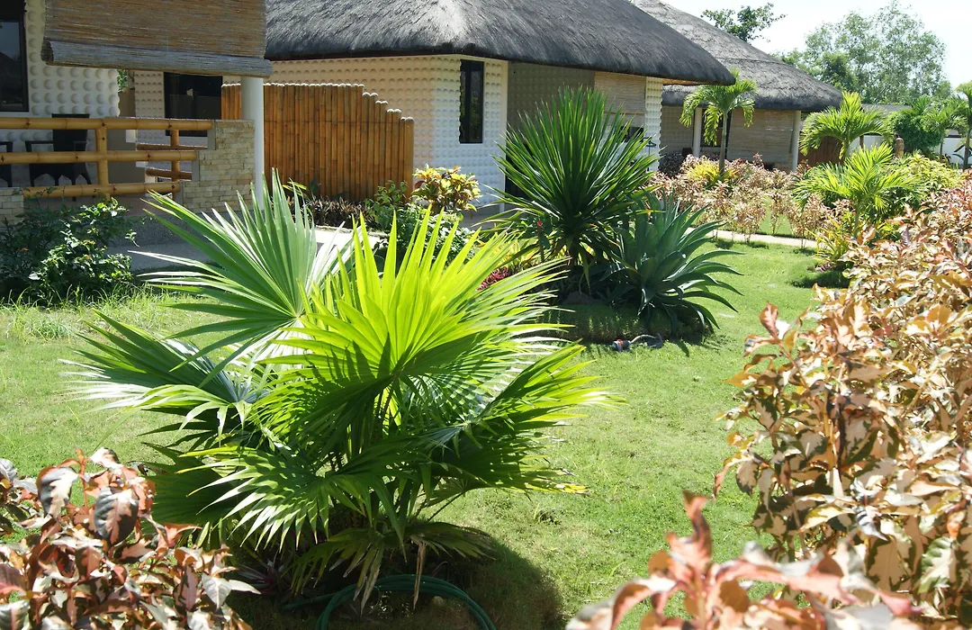 Panglao Homes Resort & Villas-1