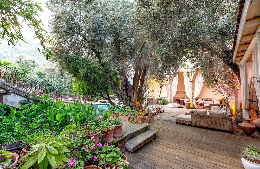 Jade Residence (Adults Only)-1