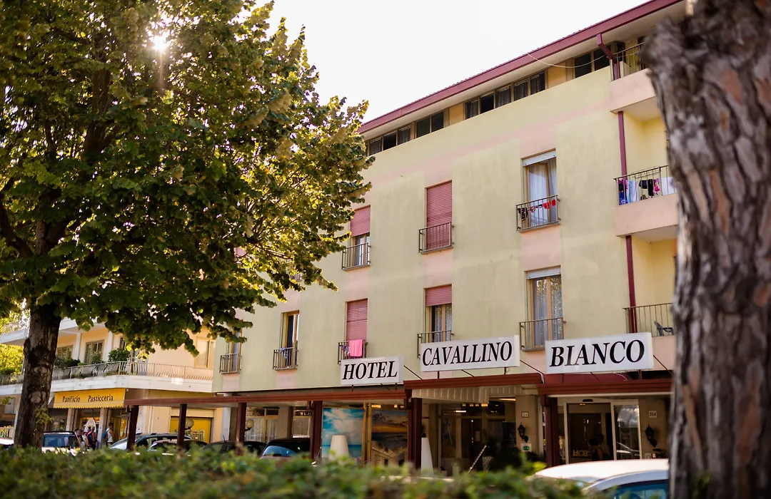 Hotel Cavallino Bianco-1