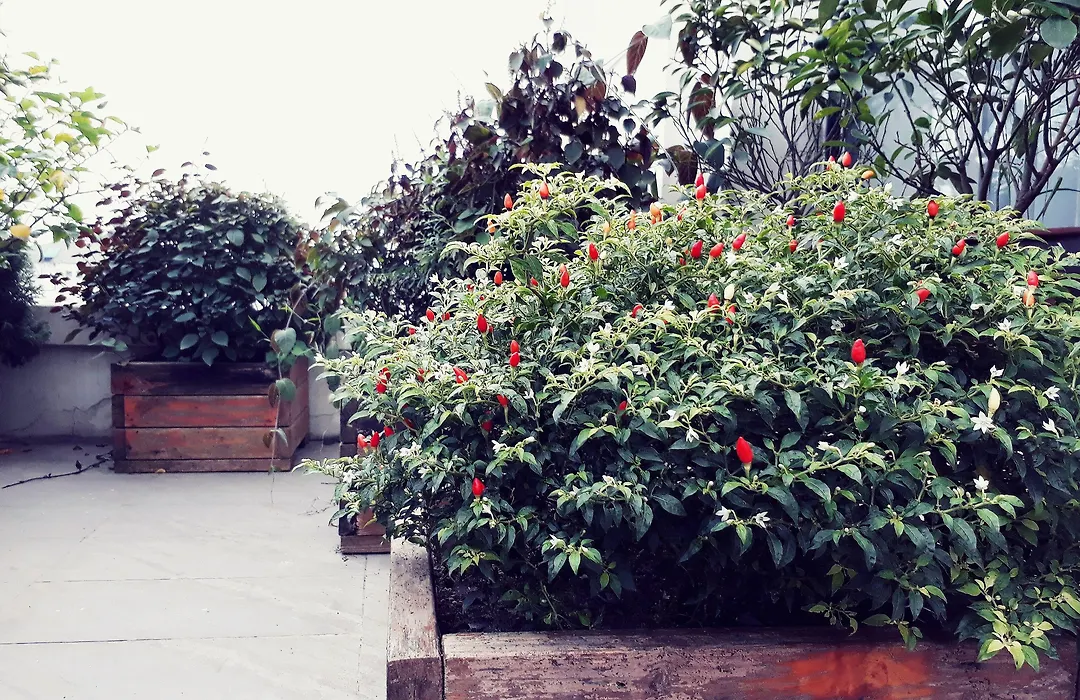 The Ann Hanoi Hotel & Spa-1