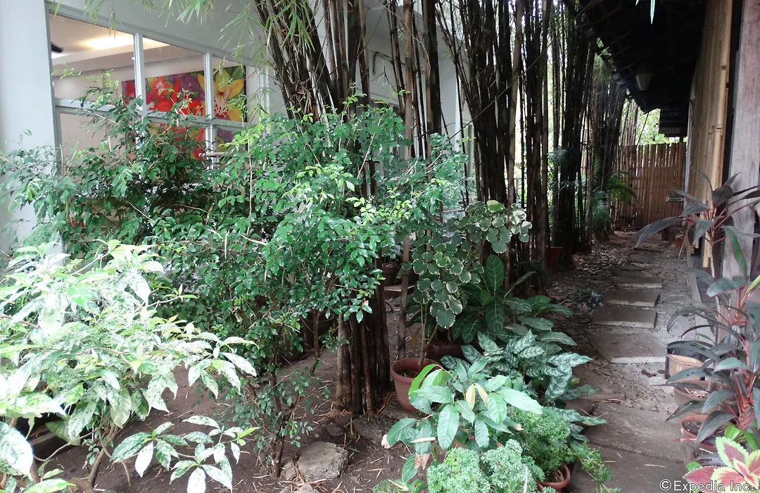 Greenspace Palawan-1