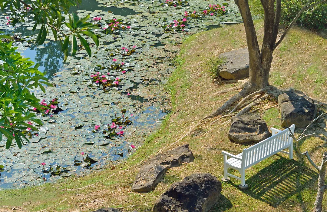 Dusit Thani Krabi Beach Resort - SHA Extra Plus-1