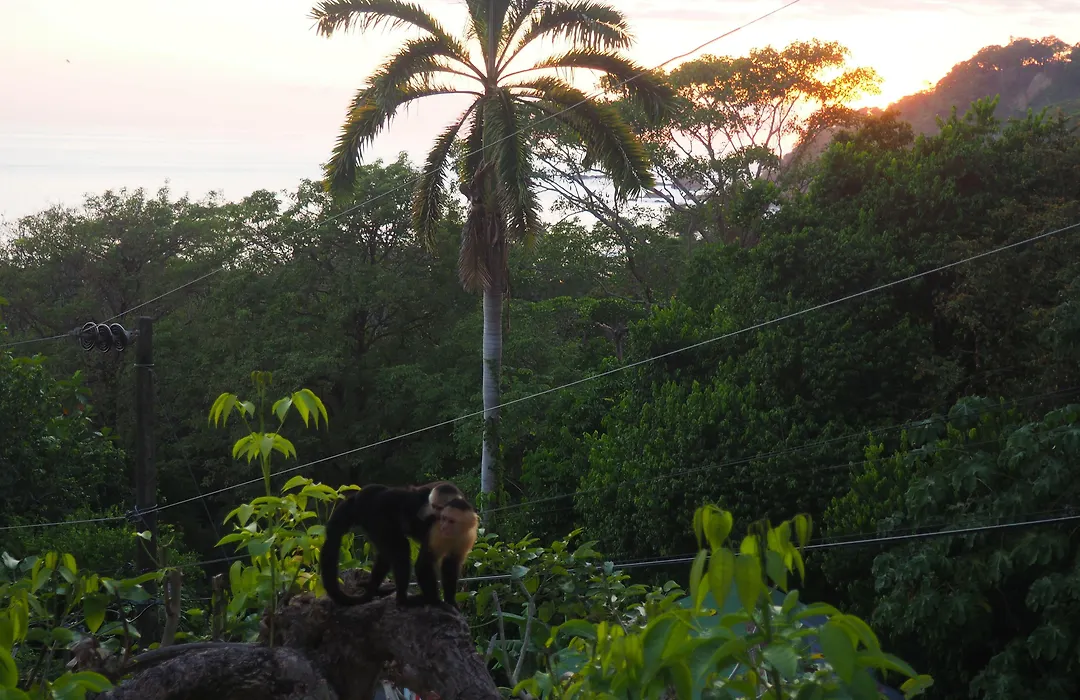 Hotel Villas De La Selva-1