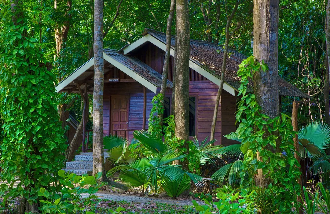 Khao Sok Riverside Cottage-1