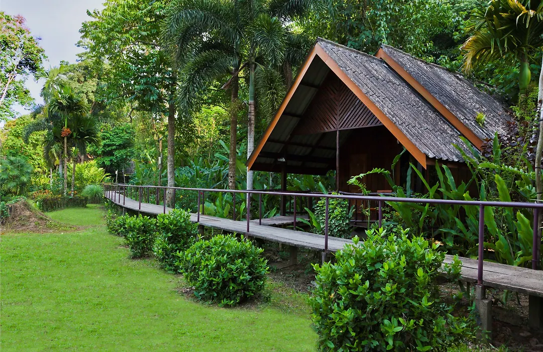 Khao Sok Riverside Cottage-1