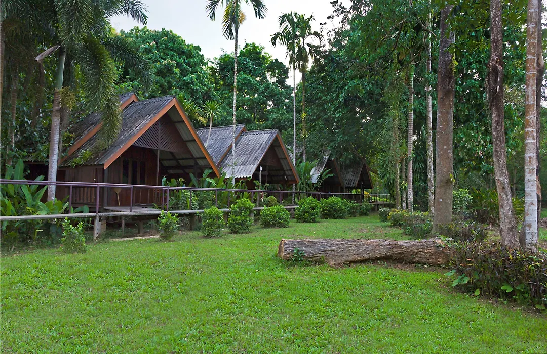 Khao Sok Riverside Cottage-1
