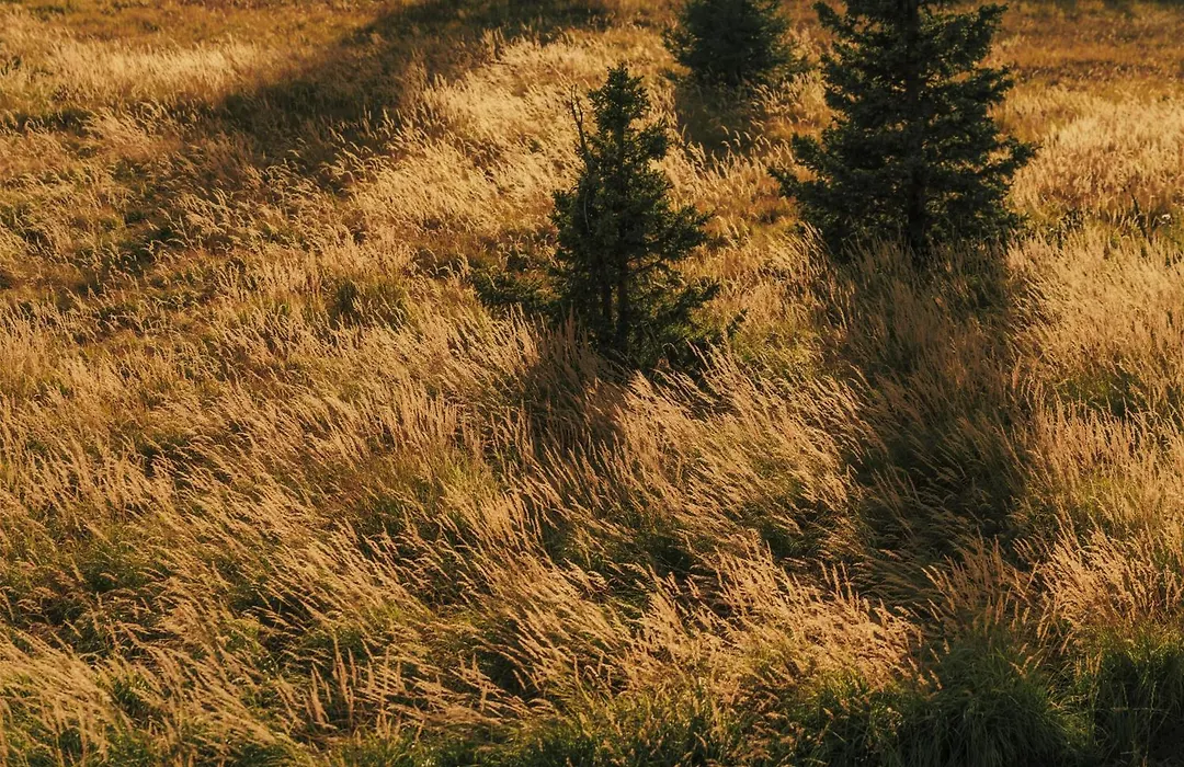 One&Only Moonlight Basin-1