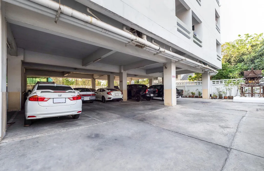 Next Bird Suite-1