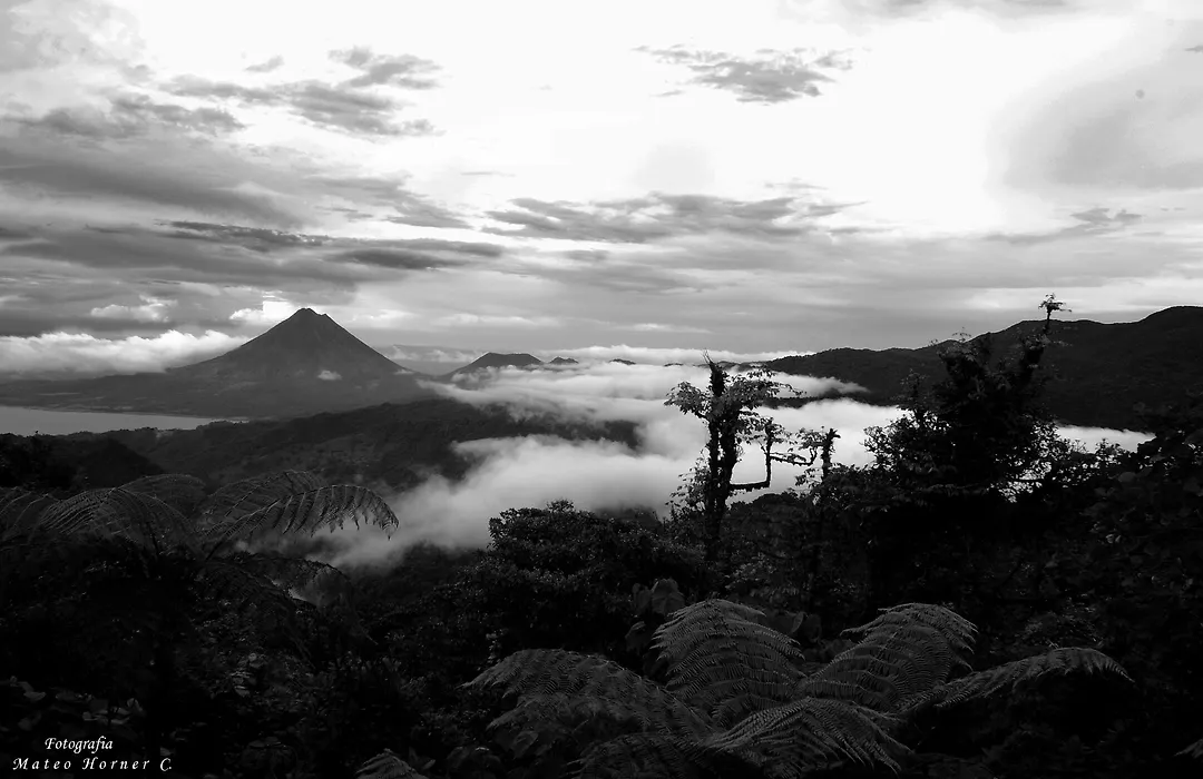 Vistaverde Lodge-1