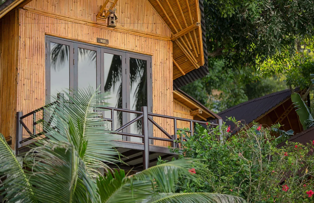The Cove Phi Phi-1