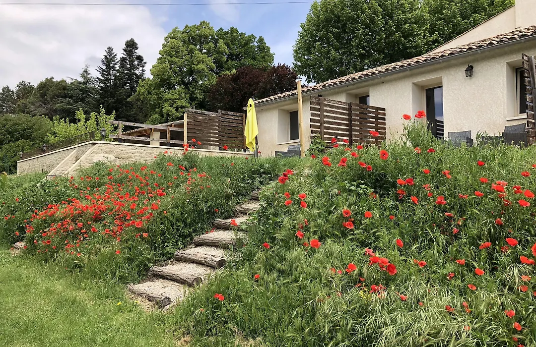 Les Ânes de Forcalquier-1