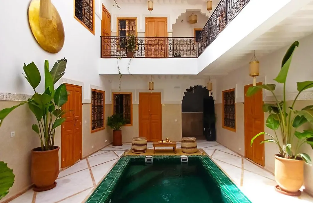 Riad Dabakech-1