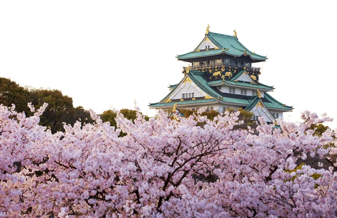 Sotetsu Grand Fresa Osaka-Namba-1
