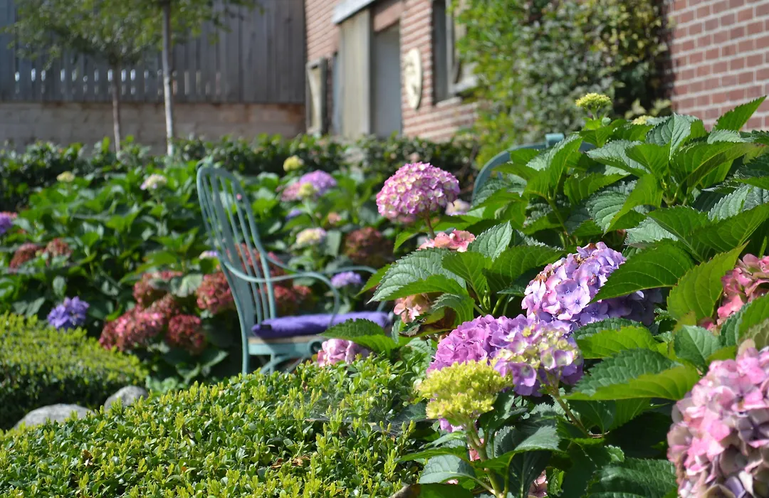 B&B Het Welthof-1