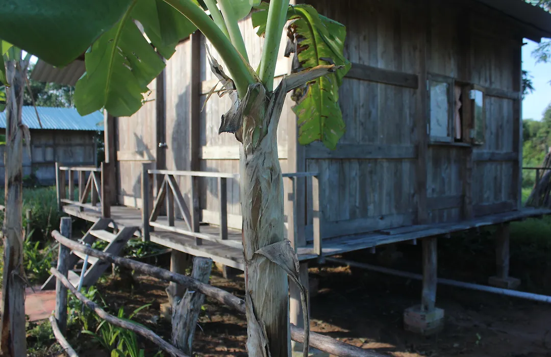 Pepper Farm Phu Quoc-1