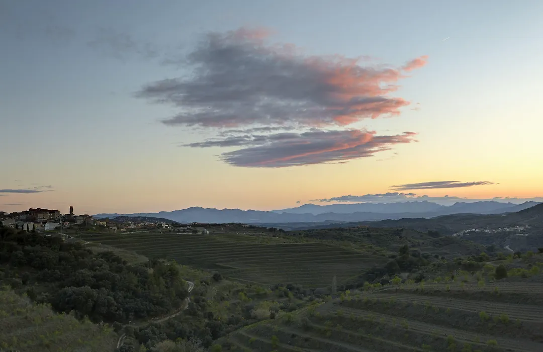Trossos Del Priorat-1