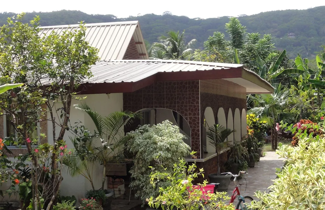 Rising Sun Guesthouse-1