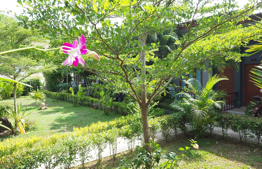 Andawa Lanta Resort-1