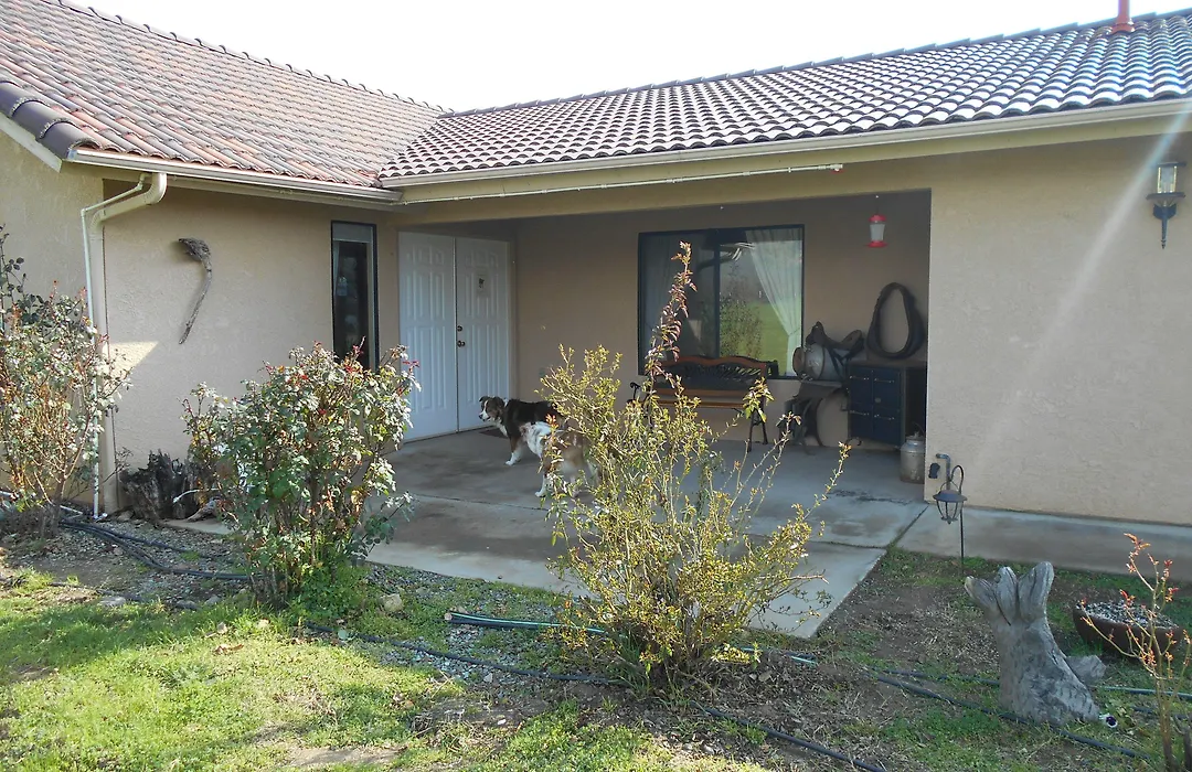 The Branded Calf Bed & Breakfast-1