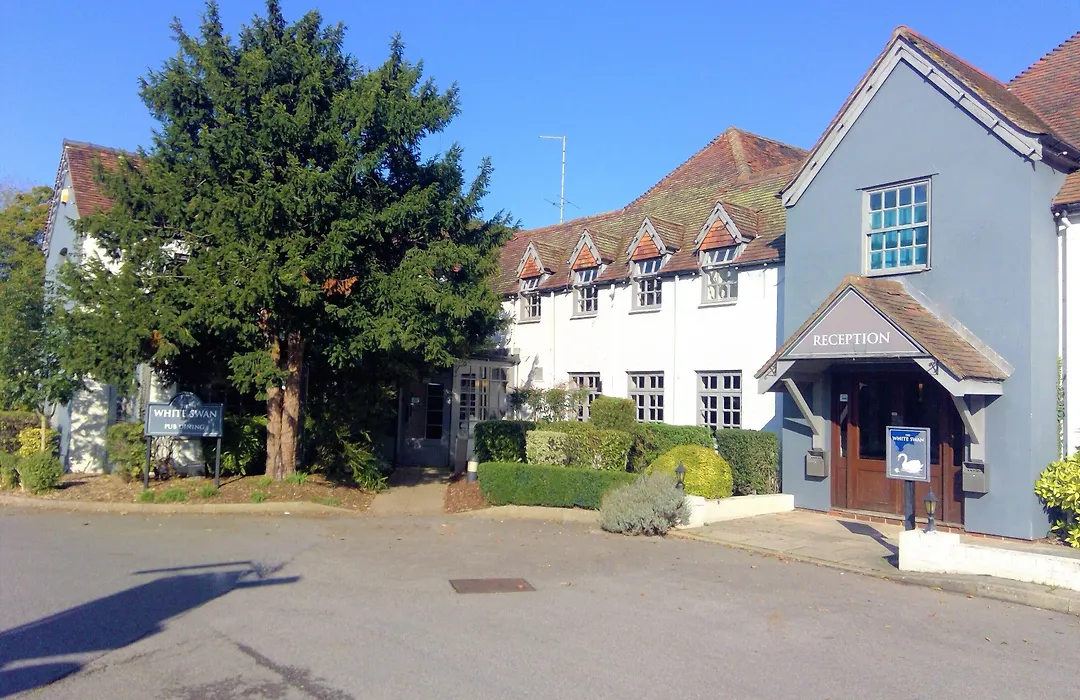 The White Swan-1