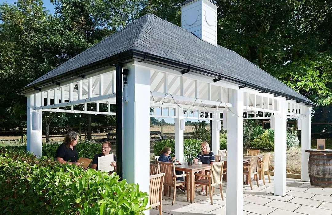 The White Swan-1