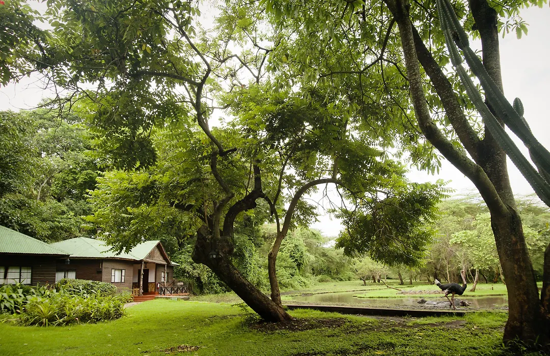 Mount Meru Game Lodge-1