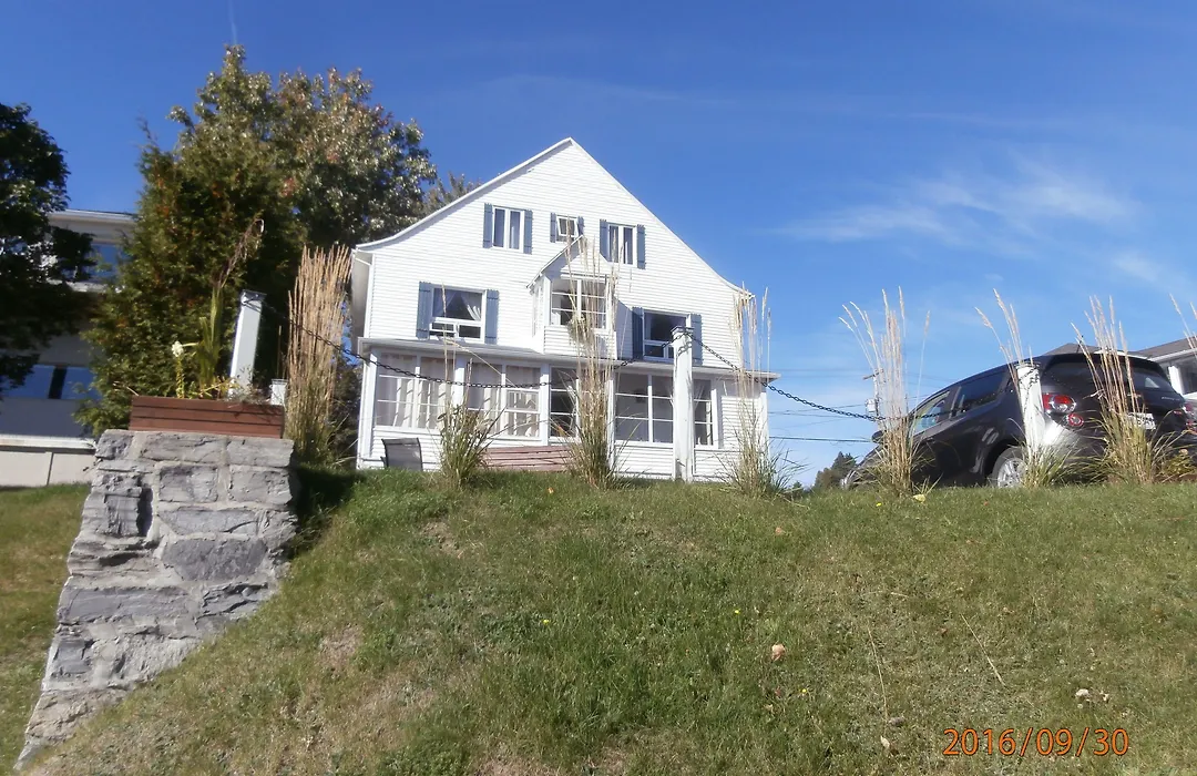 Les Pinsons Des Rives-1