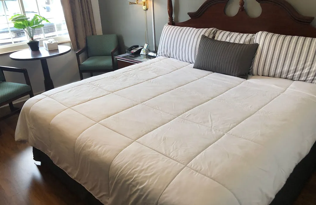 The Baxa Inn-1